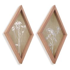 two wooden framed wall hangings with pressed flowers on the sides and leaves in the middle