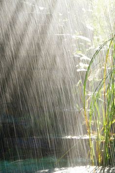 the sun is shining down on some grass and water with it's sprinkles