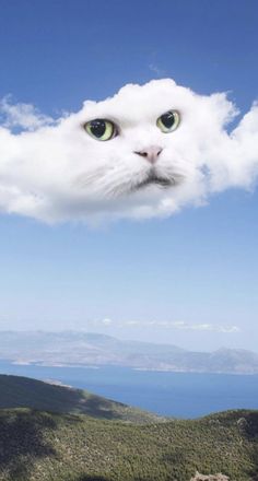 a white cat's face is shown in the sky above some hills and water