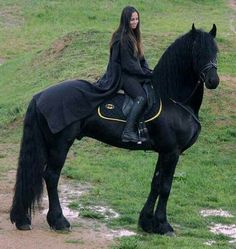 a woman sitting on top of a black horse