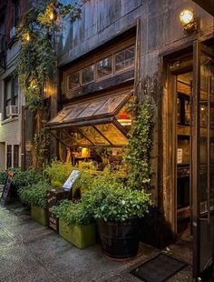 an alleyway with potted plants on both sides and a storefront in the background