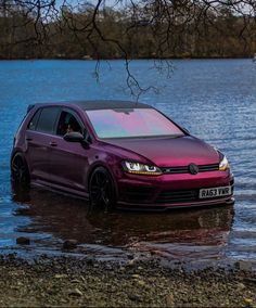 a purple volkswagen car is parked in the water near a tree and some rocks on the shore