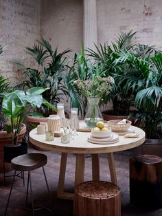 a table with plates and glasses on it in front of potted plants, surrounded by stools