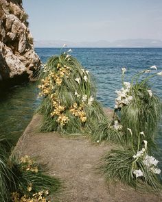 some flowers are growing out of the rocks by the water's edge in front of an ocean cliff