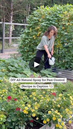 a woman watering flowers in her garden with the words diy all natural spray for pest control