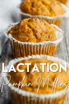 Pumpkin Lactation Muffins, Pumpkin Lactation Recipes, Breastfeeding Recipes Milk Supply, Post Partum Meals To Bring, Lactation Pancakes