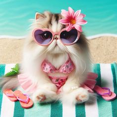 a cat with sunglasses and a pink flower on it's head sitting on a towel