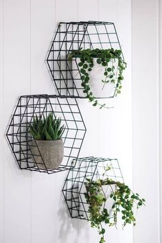 three metal hexagonal planters with plants in them hanging from the side of a white wall