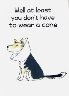 a card with a dog on it saying well at least you don't have to wear a cone