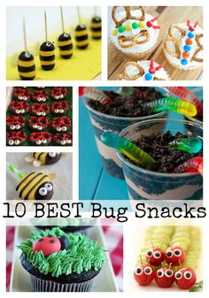 the top ten best bug snacks for kids to eat in their own backyard or garden