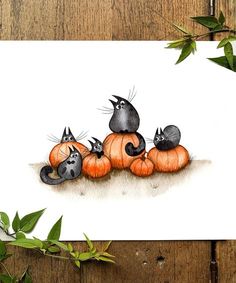 a card with three cats sitting on top of pumpkins