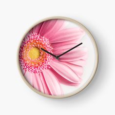 a pink flower with yellow center on a white background wall clock by corbi