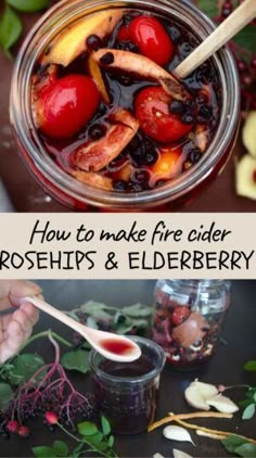 how to make fire cider rosehips, elderberry and cranberry