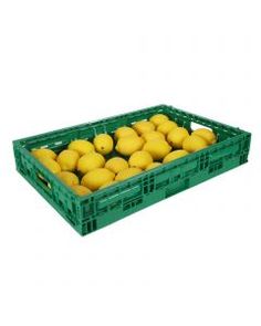 a green crate filled with lots of yellow fruit