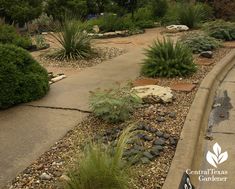 a garden with rocks and plants in it