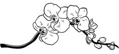 a black and white drawing of flowers on a branch with one flower in the middle