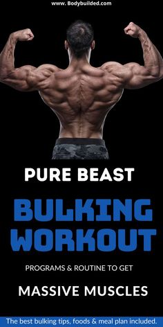 the back of a man's torso with text reading pure beast bulking workout