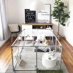 a glass house with a dog in it's bed on the floor next to a potted plant