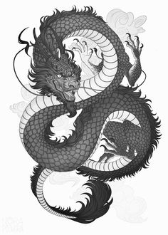 a black and white drawing of a dragon