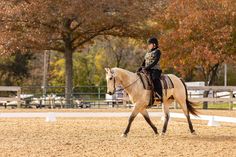 a person riding on the back of a brown horse in an arena with trees behind them