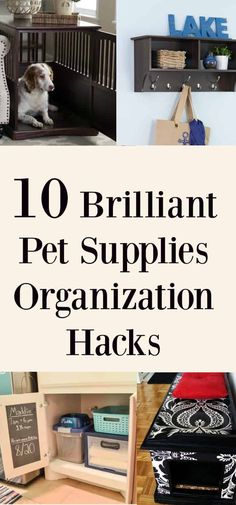 the top 10 brilliant pet supplies organization hacks for small dogs, cats and kittens