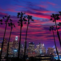 the city skyline is lit up at night with palm trees