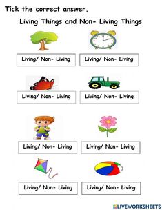 Living and non-living things online exercise for kg2 Kg Science Worksheet, Living And Non Living Things Worksheets For Kindergarten, Living Non Living Things Worksheet, Living And Non Living Things Activities For Preschool Worksheets, Living Things And Non Living Things Worksheet For Grade 1, Living Non Living Activities, Living Things Worksheet Kindergarten, Living And Nonliving Activities, Living And Non Living Things Worksheets