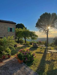 the sun shines brightly through the trees and flowers in front of an outdoor dining area