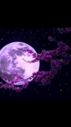 a full moon with pink flowers in the foreground and a poem written below it