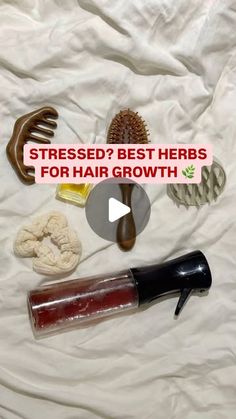 Ariana Medizade on Instagram: "Is your stress disguised as hair loss?! Comment: HAIR & I’ll send you my guide on using herbs to fight hair loss—what works together, and what’s best for each issue!"