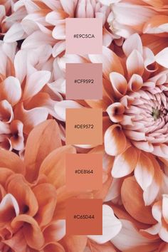 the color scheme is peach and brown with white flowers on it, as well as an orange