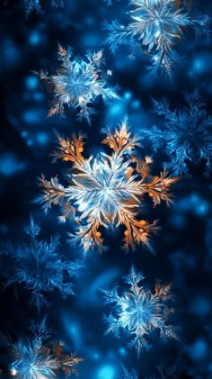 snowflakes are shown in blue and orange colors