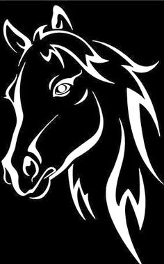 a horse's head in black and white on a dark background stock photo - budget conscious