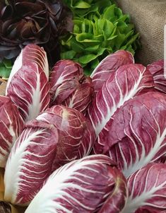 red and white lettuce on display at a market