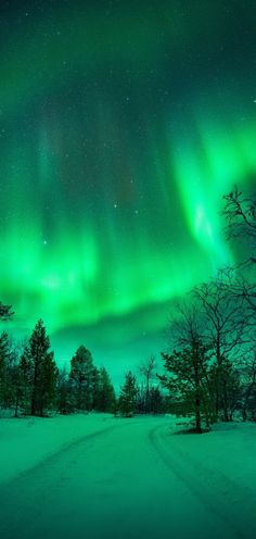 the aurora bore is shining brightly in the sky above trees and snow covered ground at night