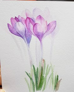 a watercolor painting of purple flowers on white paper