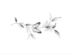 a black and white drawing of leaves on a branch