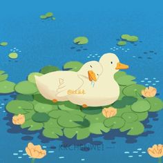 a white duck floating on top of a green lily pad