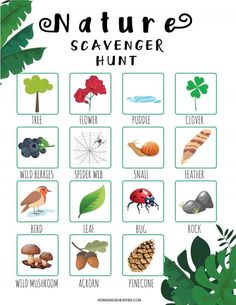 the nature scavenger hunt is an easy way to teach kids about plants and animals