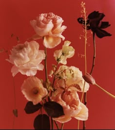 a vase filled with lots of flowers on top of a red table next to a wall