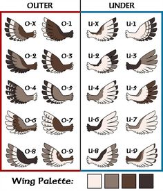 a poster with different types of birds and numbers for each bird, including the letter u