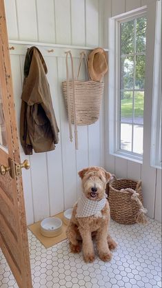 a brown dog sitting on top of a white tiled floor next to two baskets and a door