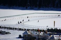 a group of people riding skis on top of snow covered ground next to a fence