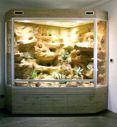 an aquarium filled with plants and rocks in a corner room on the wall is lit by lights