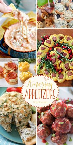 the collage shows different types of appetizers