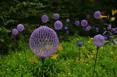 some purple flowers are in the grass