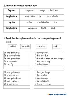 worksheet for reading and writing the correct words in an animal's speech