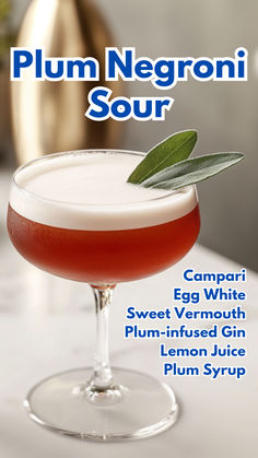 Plum Negroni Sour Negroni Variations, Negroni Sour, Sweet Vermouth Cocktails, Vermouth Cocktails, Campari Cocktail, Classic Negroni, Campari Cocktails