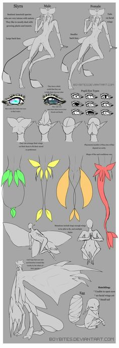 an image of some different types of body shapes and their functions in the form of people