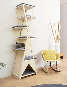 a cat sitting on top of a wooden shelf next to a yellow chair and rug